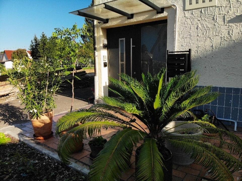 Gemuetliche 3 Zimmer Wohnung Mit Grosszuegiger Terrasse Im Gruenen Ройтлинген Екстериор снимка